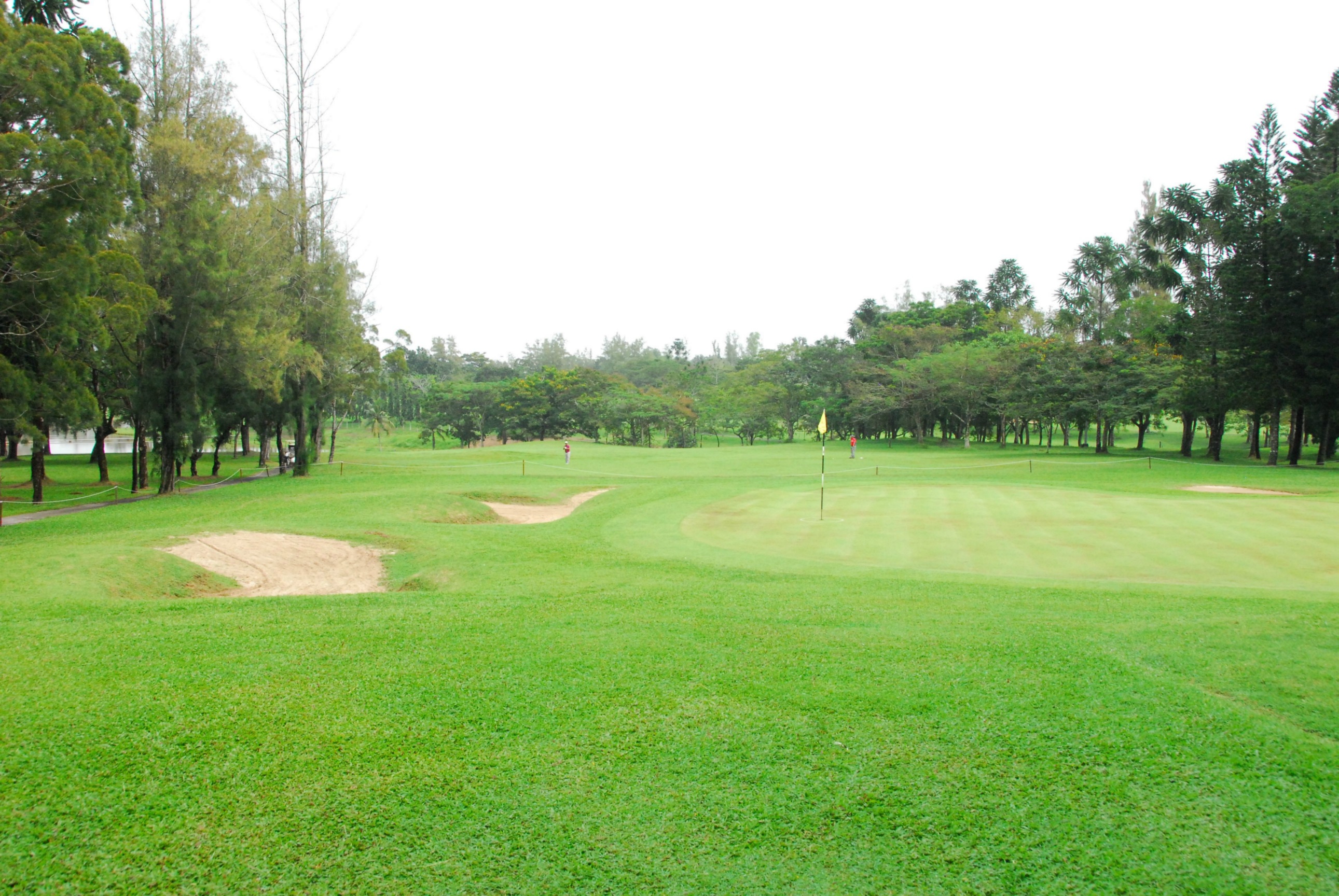 PRO15 157 GOLF DSC 0484.JPG